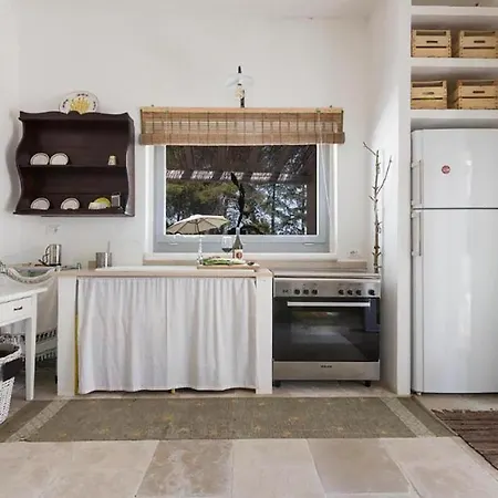 Silent Place فيلة مارتينا فرانكا