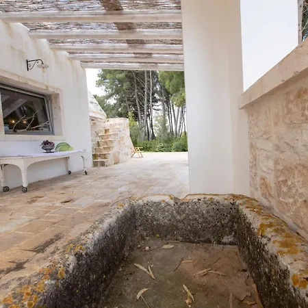 Silent Place Villa